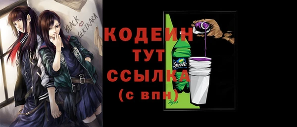 индика Балахна