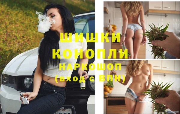 сатива Баксан
