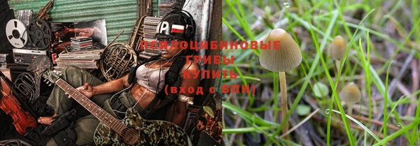 сатива Баксан