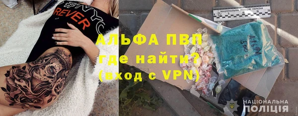 индика Балахна