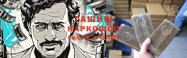 индика Балахна